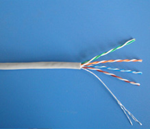Cat 5 Ethernet cable