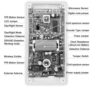 Wireless outdoor motion sensor