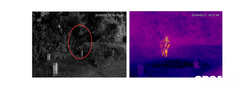 Traditional camera Vs Thermal imaging camera