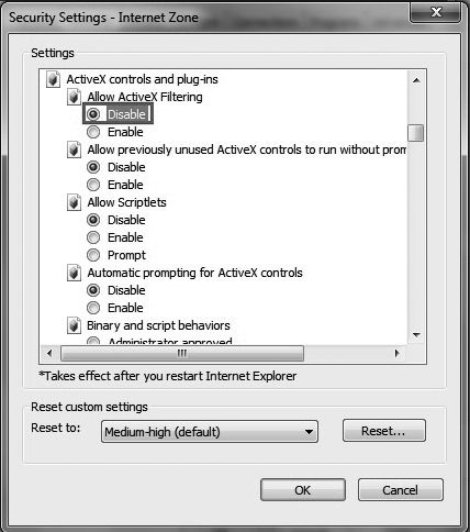 IE security settings - Internet Zone