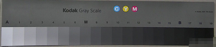 Grayscale test result Grayscale test result