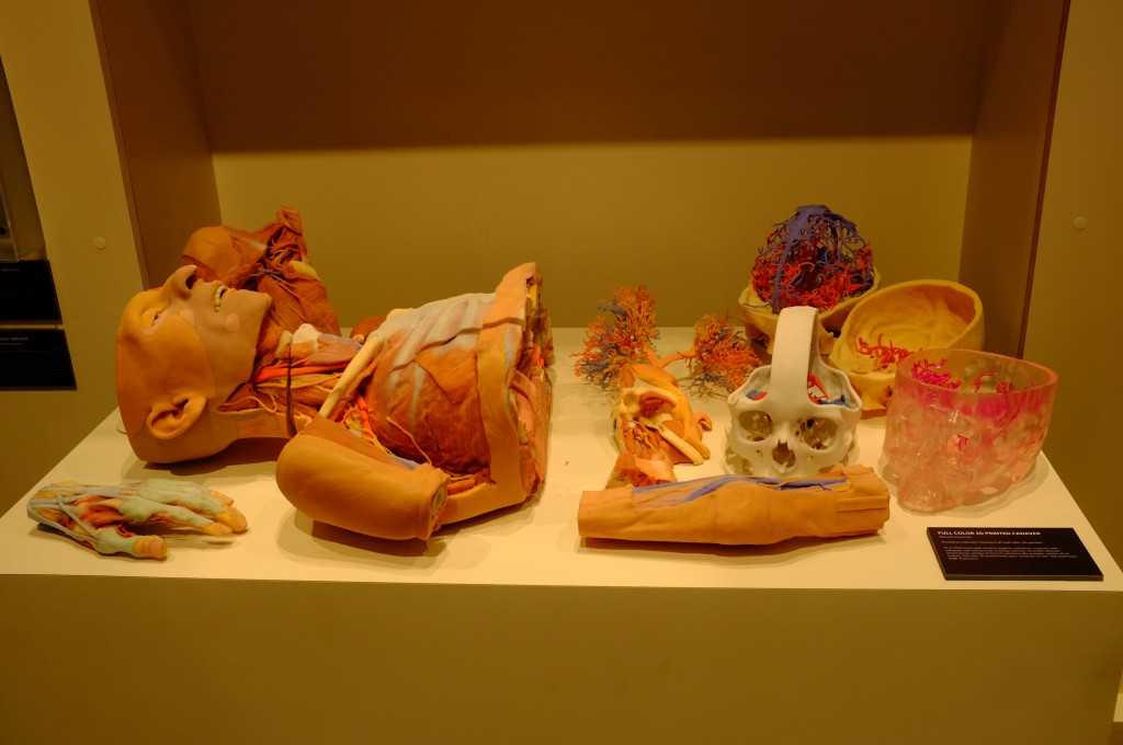 3D print human organs