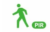 PIR detection icon