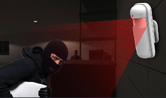 Interior Motion Detection