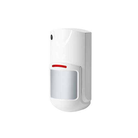 Indoor Dual-Technology Motion Detector