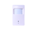 Wireless PIR hidden camera video recorder