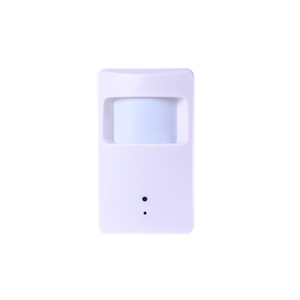 Wireless PIR hidden camera video recorder
